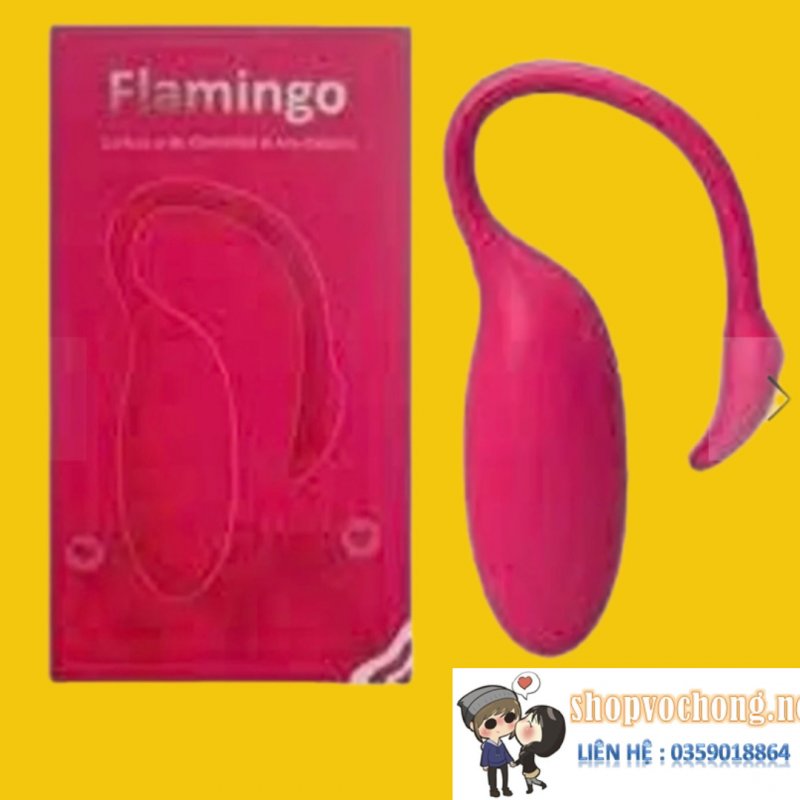 Flamingo - Trứng rung qua app 
